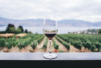 Napa & Sonoma (STS/SFO)