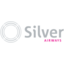 Silver Airways