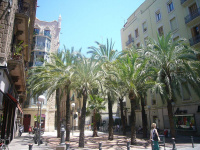 Gràcia