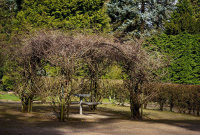 Rombergpark Botanical Garden